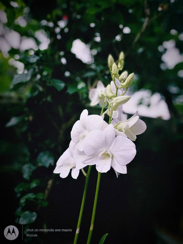 photography (1).webp