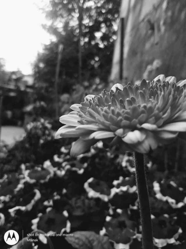 photography (3).webp