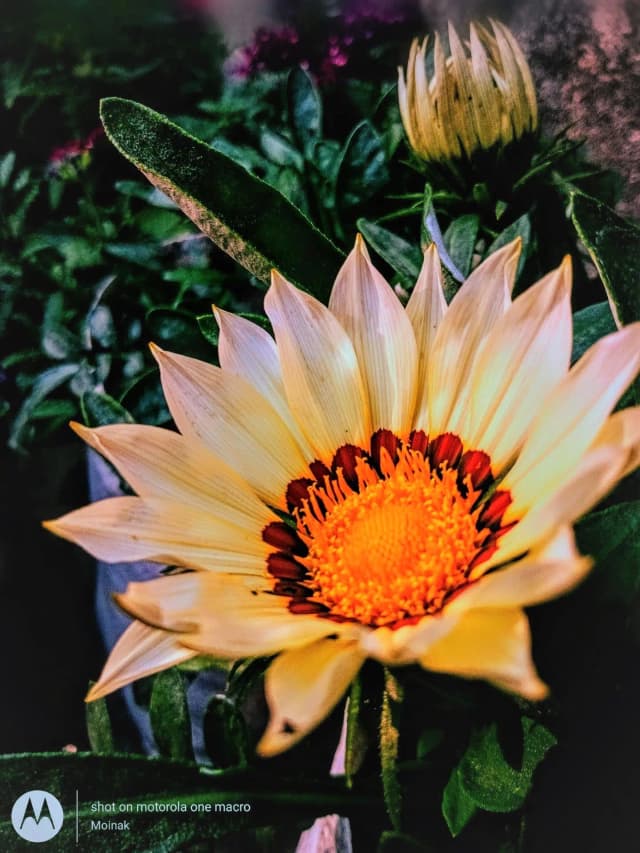 photography (4).webp