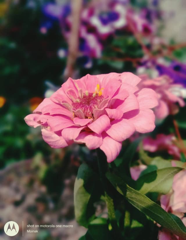 photography (11).webp