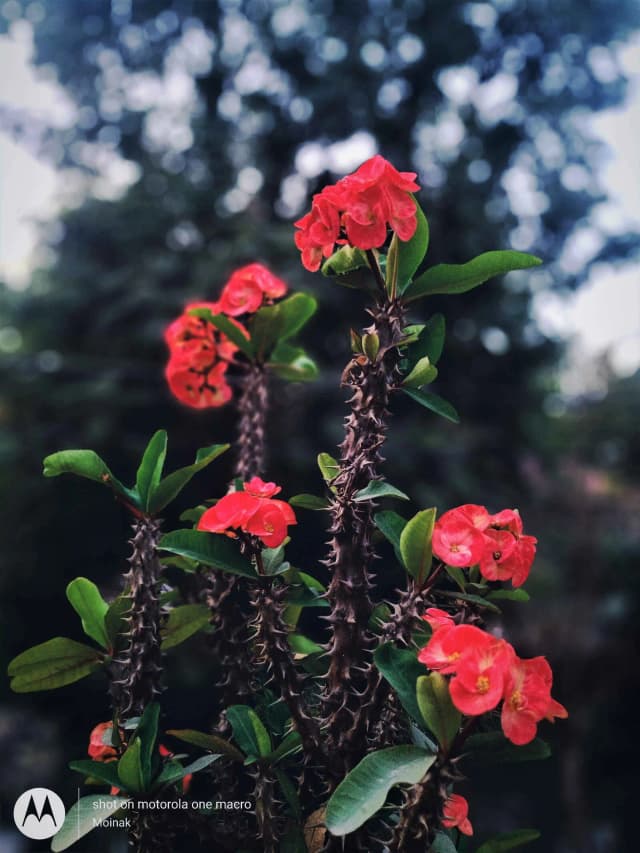 photography (12).webp