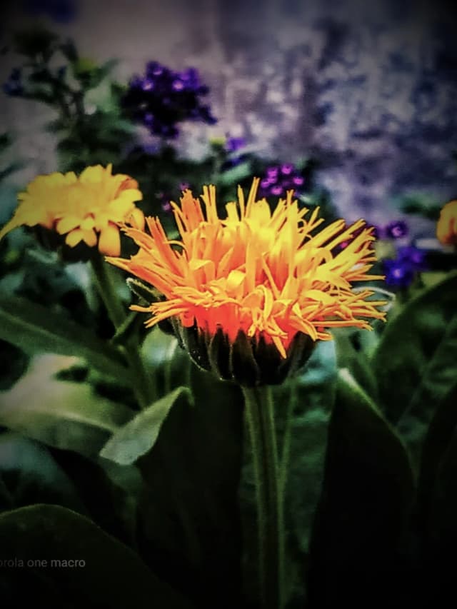 photography (5).webp