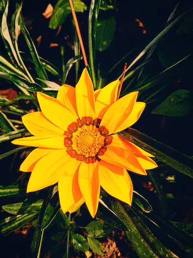 photography (6).webp