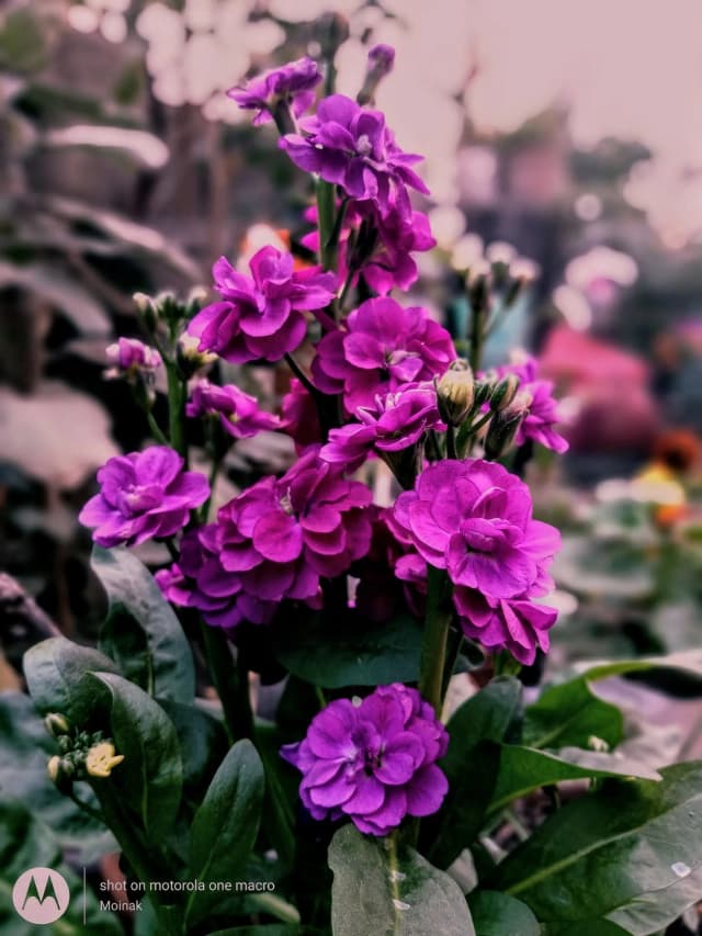 photography (7).webp