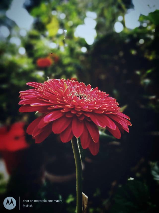 photography (14).webp