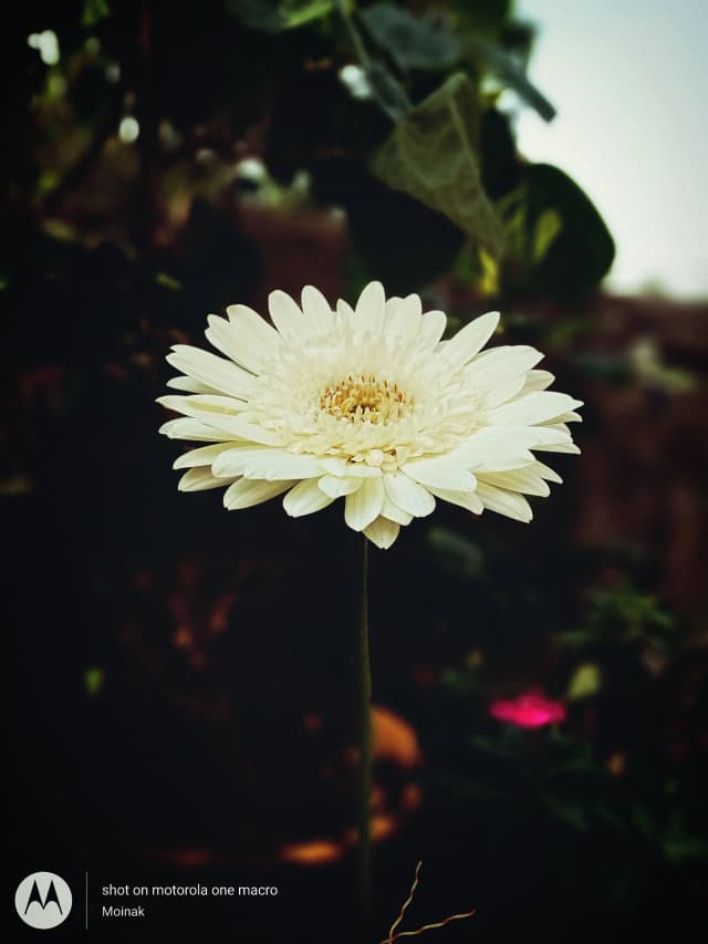 photography (15).webp