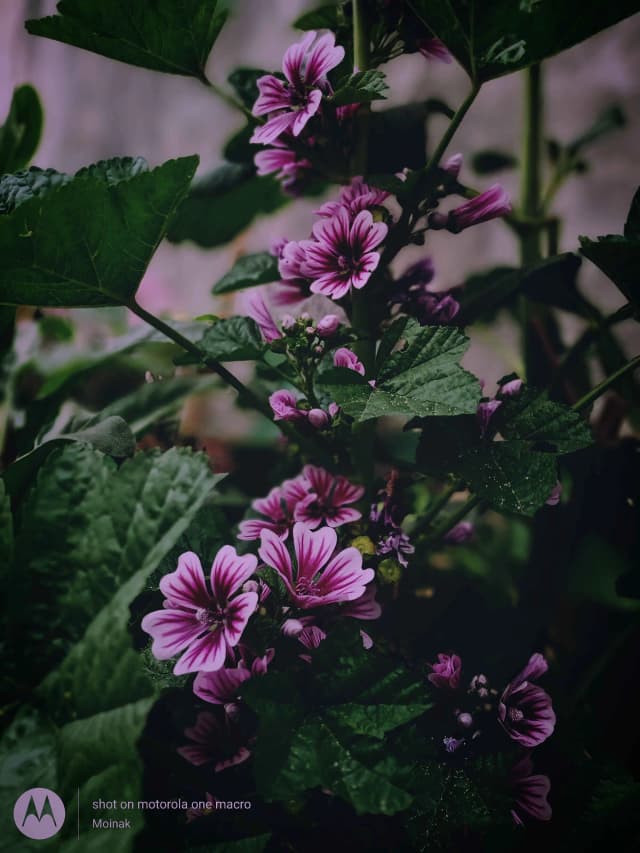photography (16).webp
