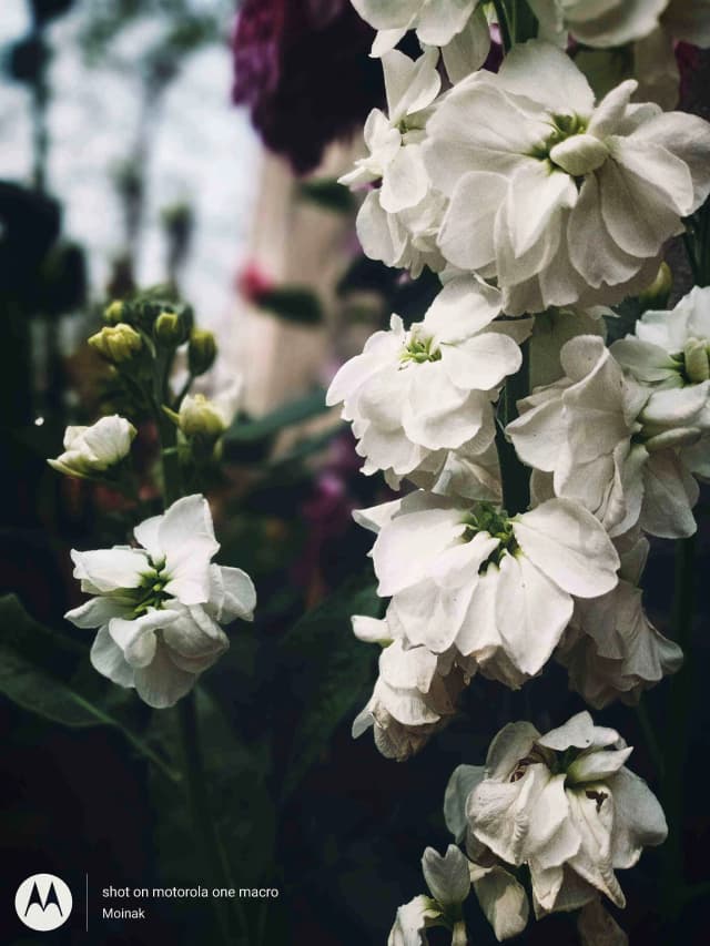 photography (17).webp