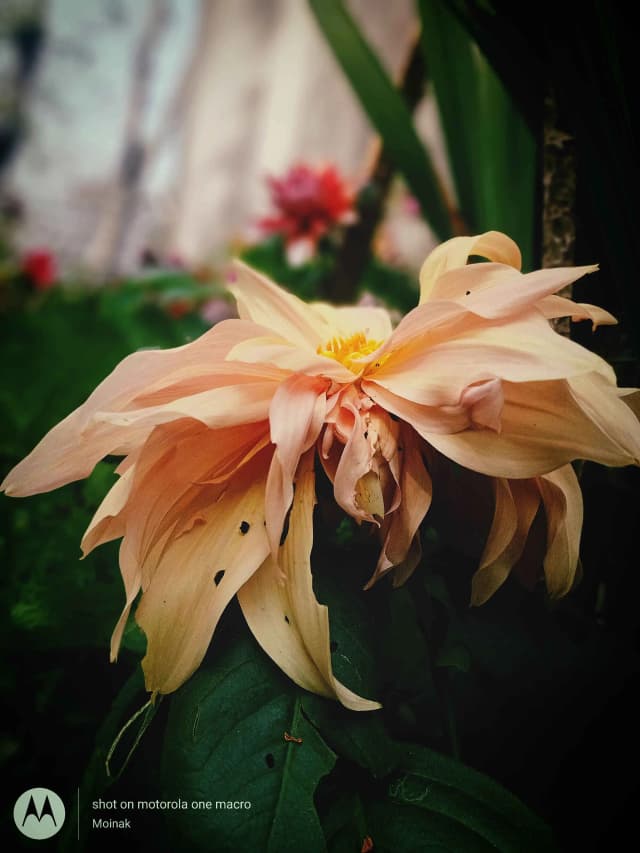 photography (18).webp