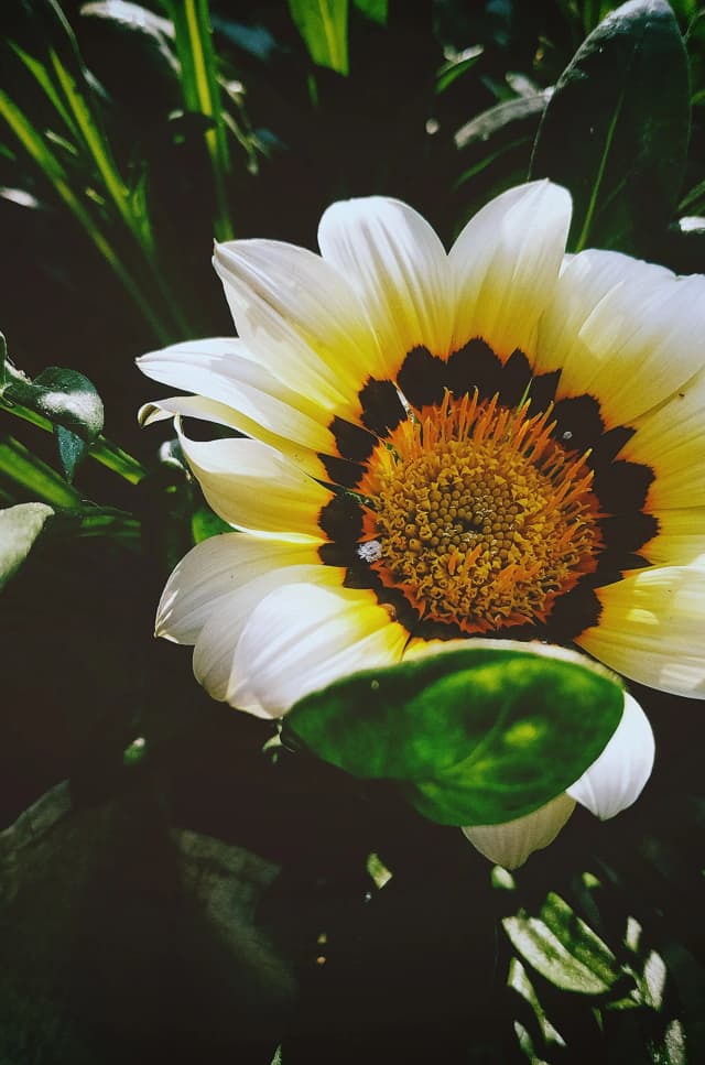 photography (19).webp