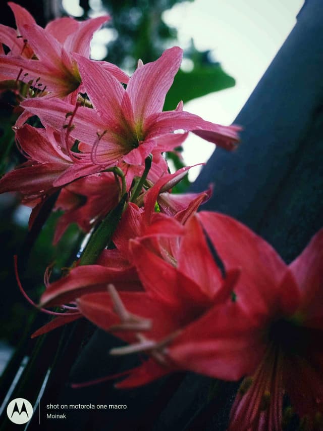 photography (21).webp
