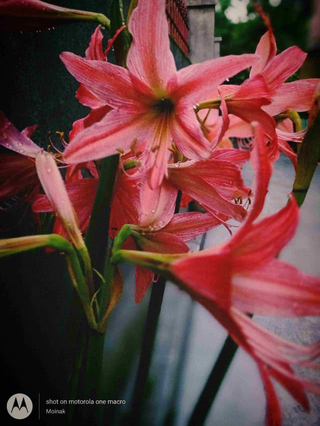 photography (20).webp