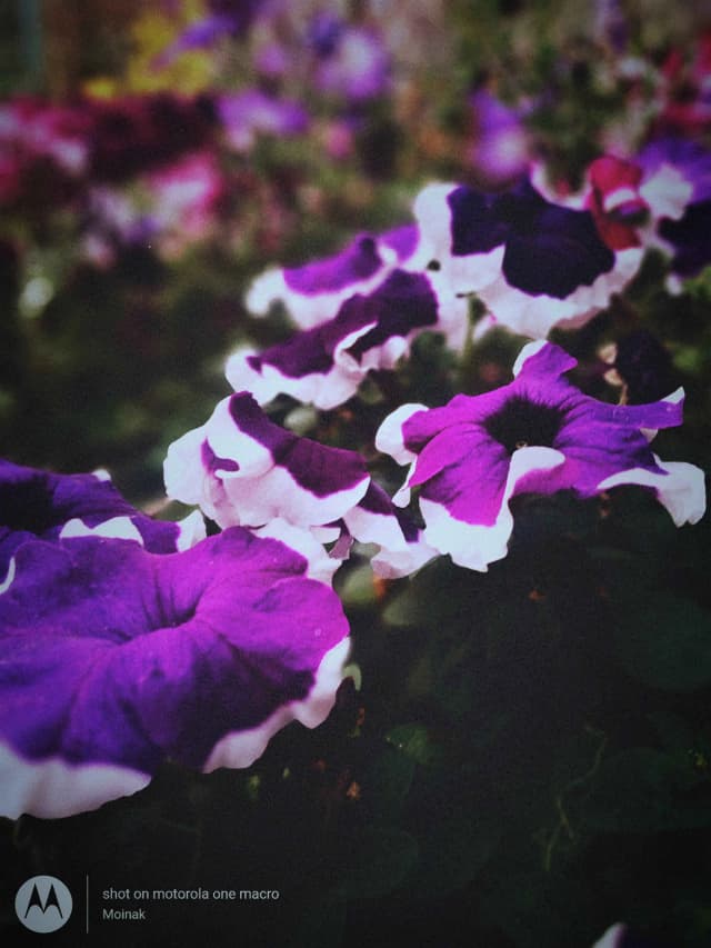 photography (22).webp