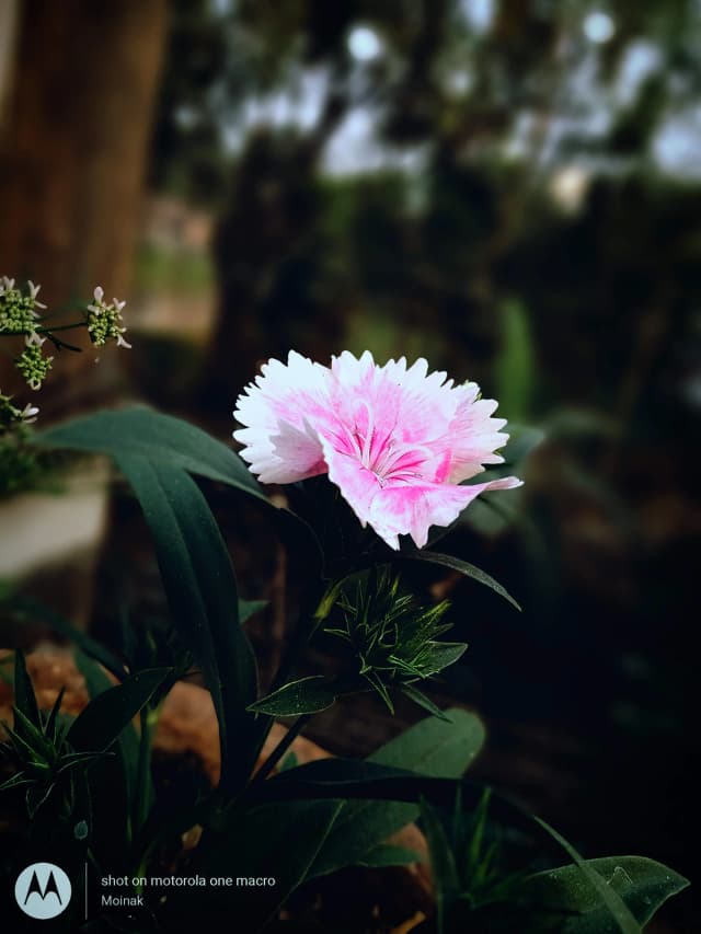 photography (23).webp