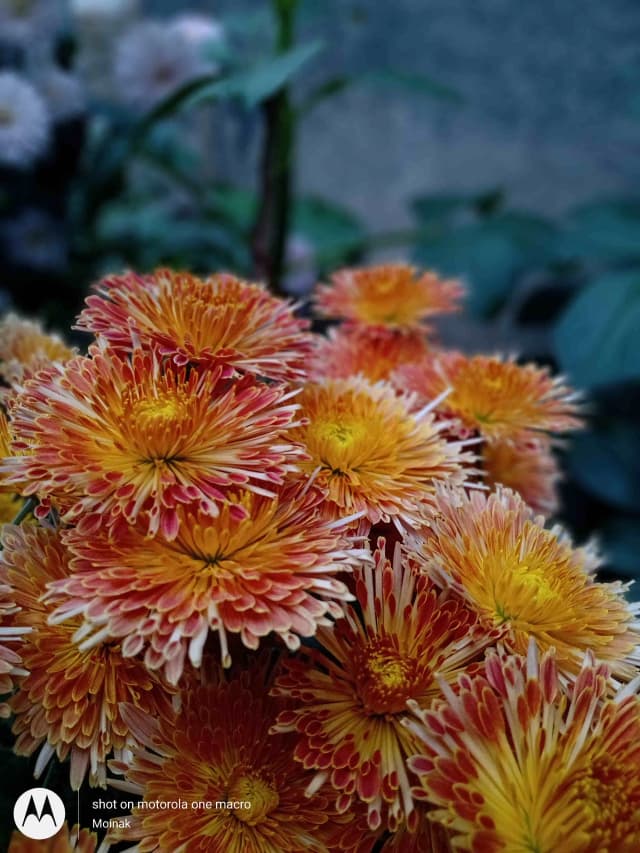photography (24).webp