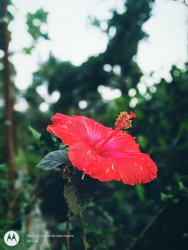 photography (25).webp