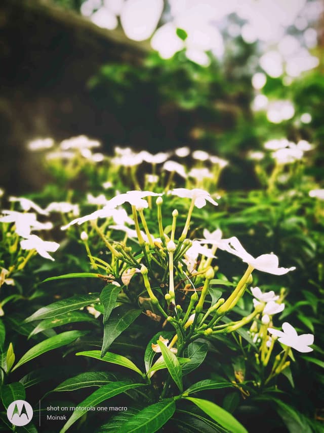 photography (26).webp