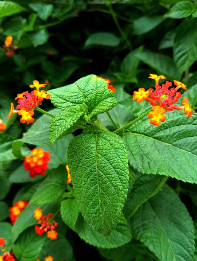 photography (27).webp
