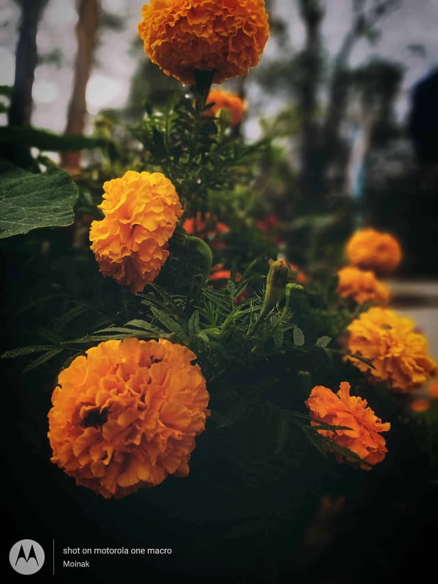 photography (28).webp