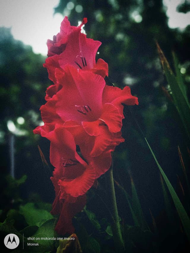 photography (29).webp