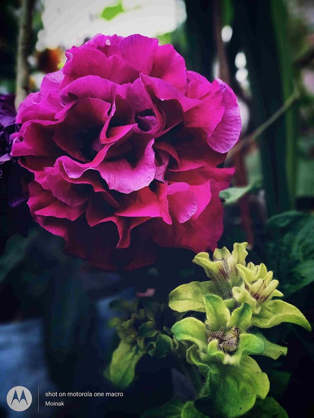 photography (30).webp