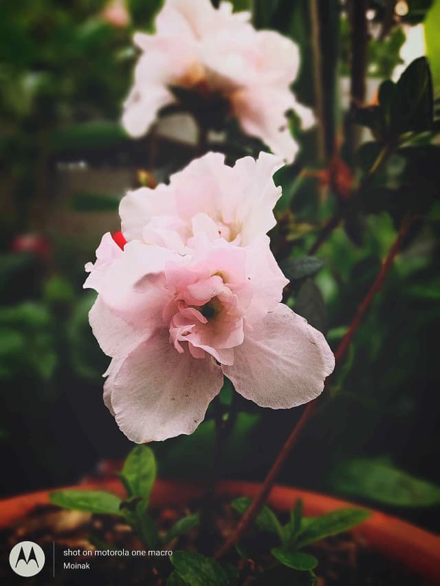 photography (32).webp