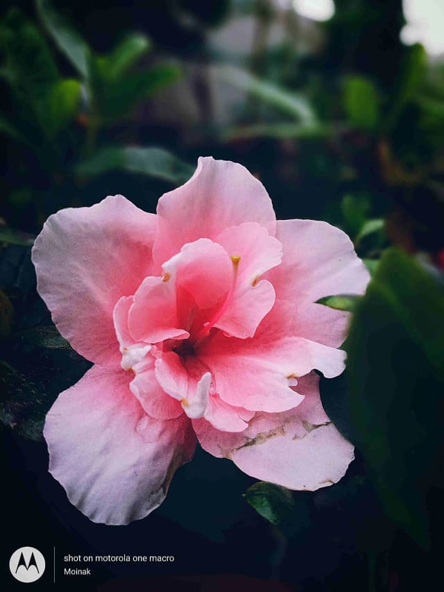 photography (33).webp