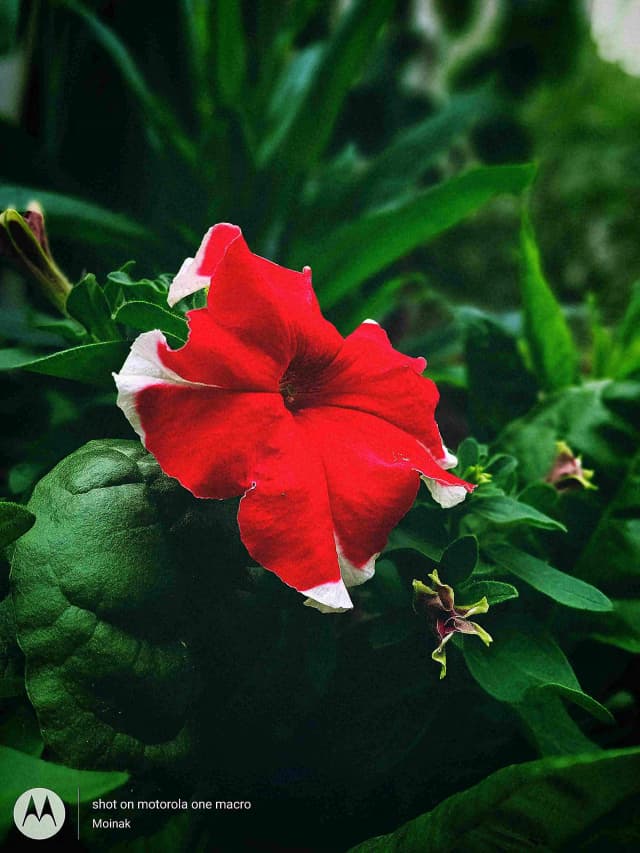 photography (34).webp