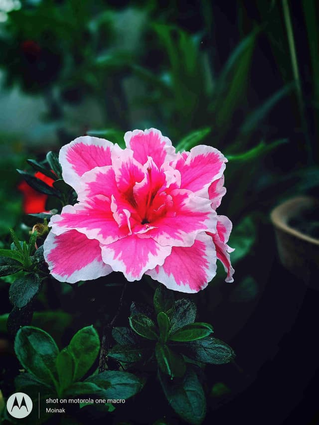 photography (35).webp