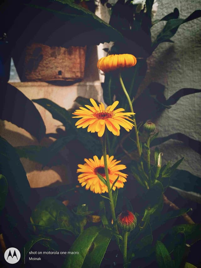 photography (36).webp