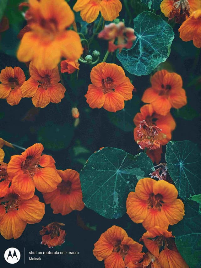photography (37).webp