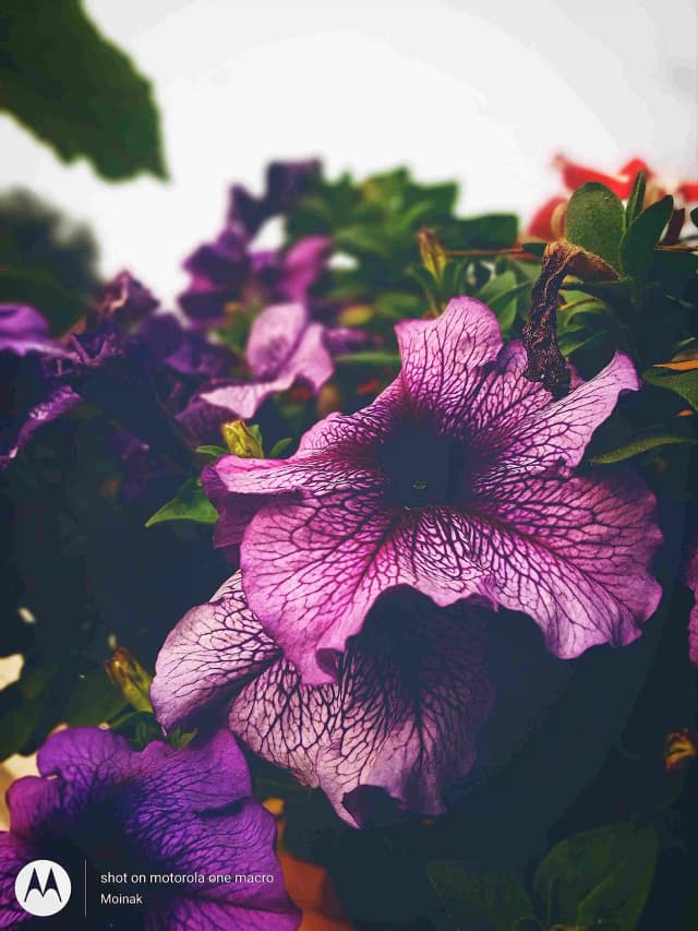 photography (38).webp