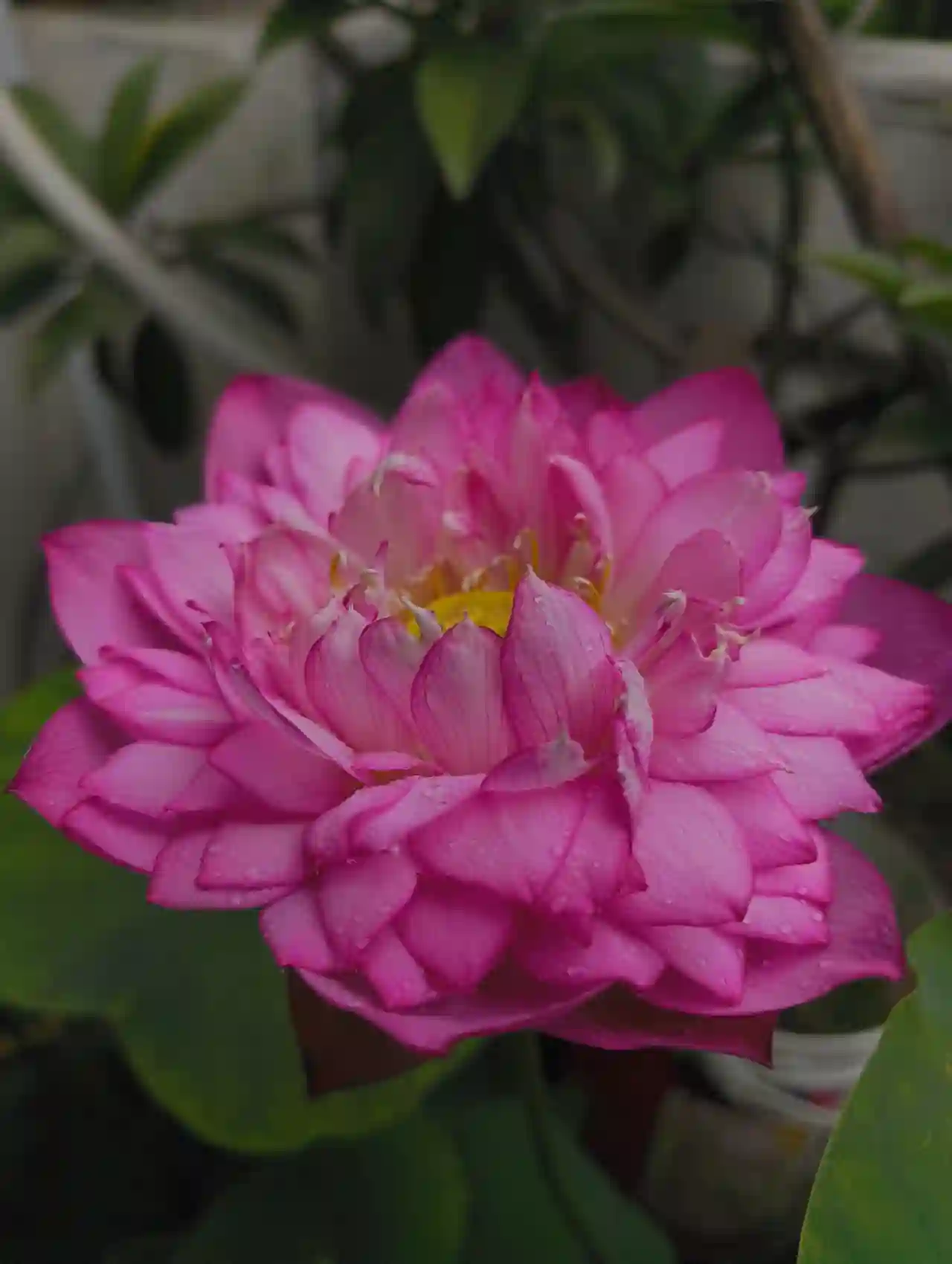 photography (41).webp