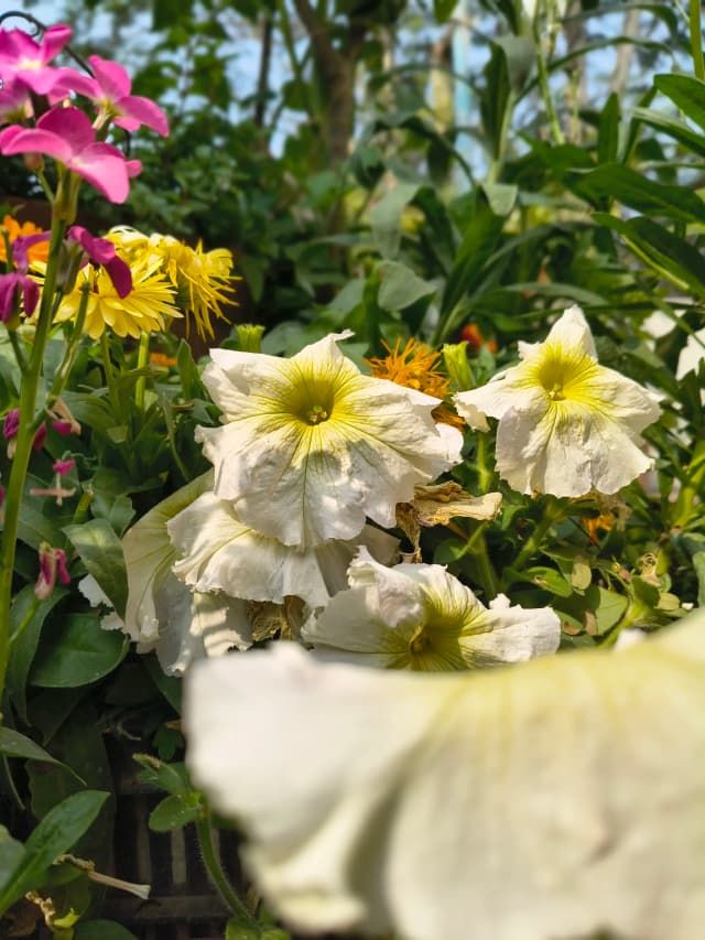 photography (43).webp