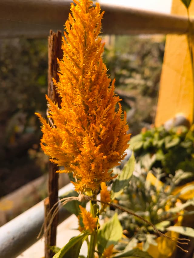 photography (44).webp