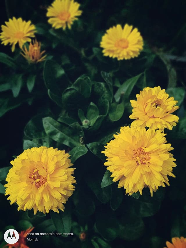 photography (45).webp
