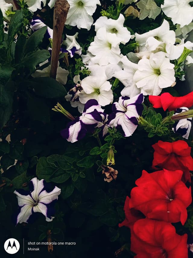 photography (46).webp