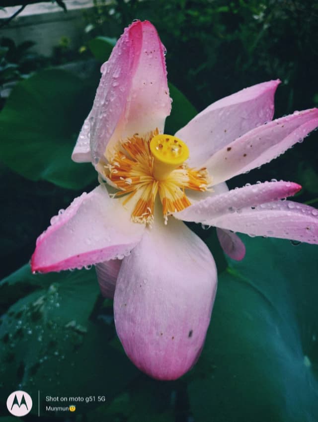 photography (47).webp