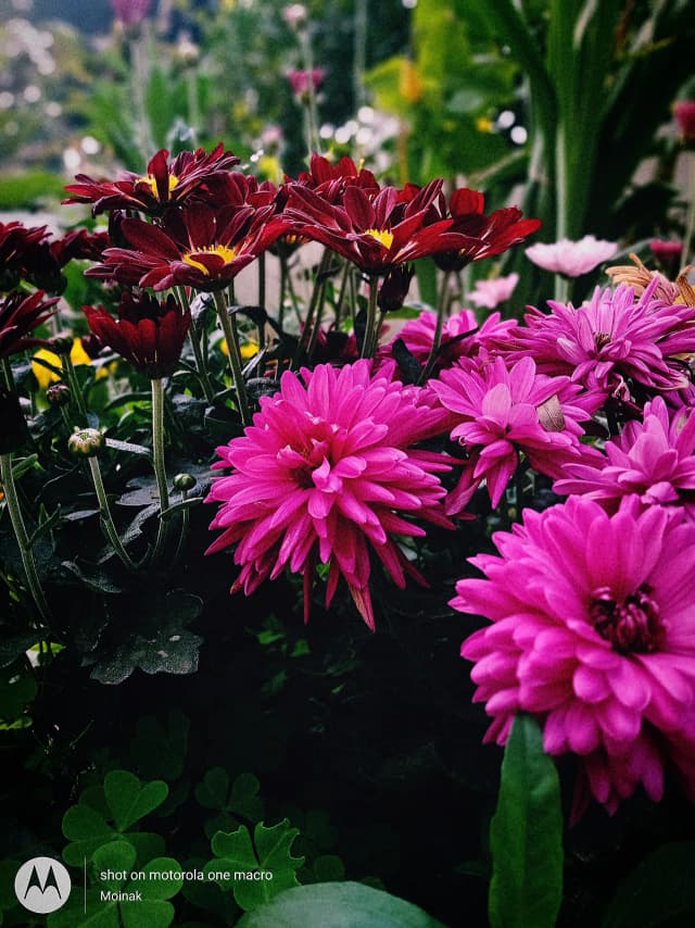 photography (48).webp