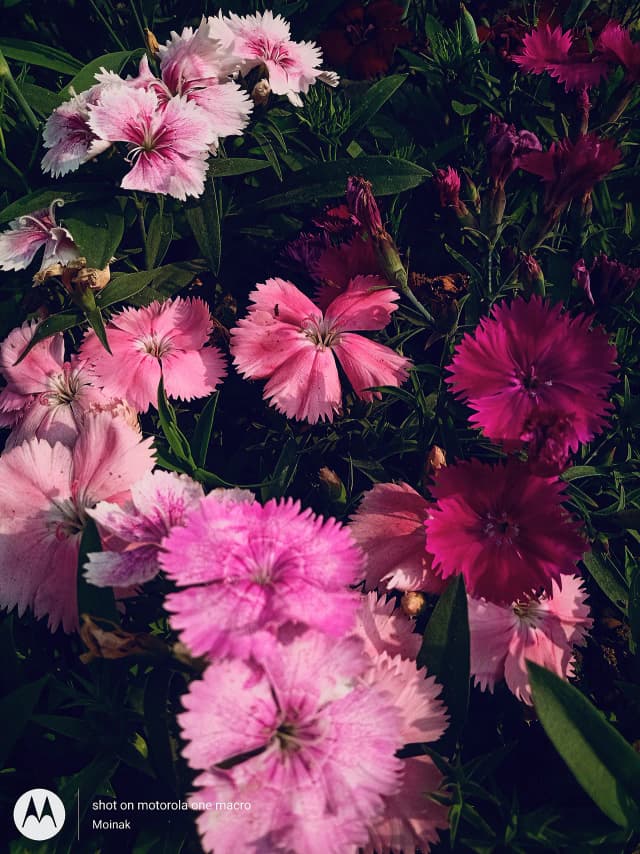 photography (49).webp